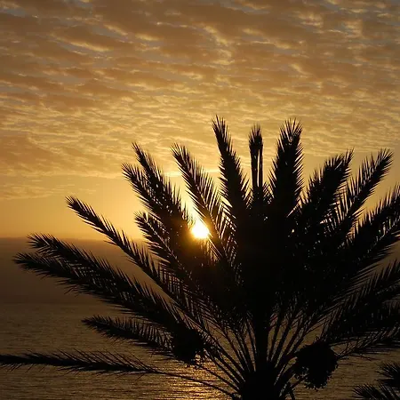 Privado En Complejo Aida