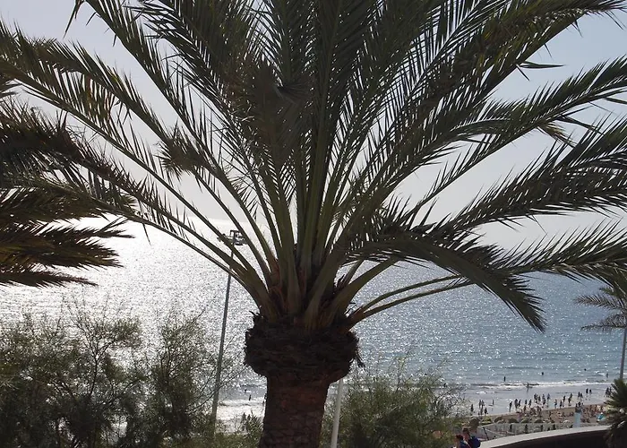 Privado En Complejo Aida