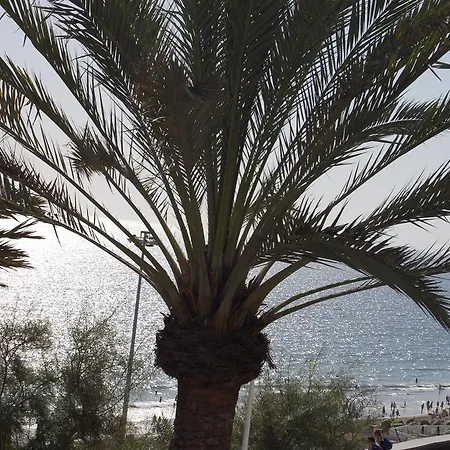 Privado En Complejo Aida